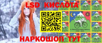 СК Пугачёв