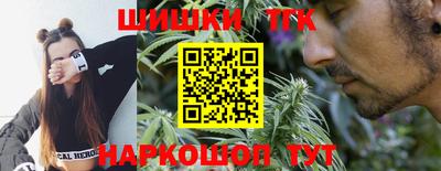 СК Пугачёв