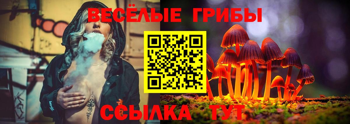 Новокубанск  Псилоцибиновые грибы мицелий  Галлюциногенные грибы мицелий  Вход с VPN 