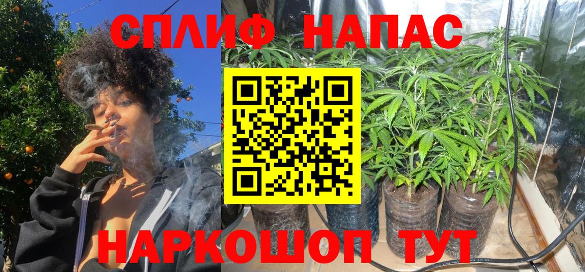 Бошки марихуана VHQ  Вход с VPN  МАРИХУАНА семена  Новокубанск  Бошки марихуана индика 